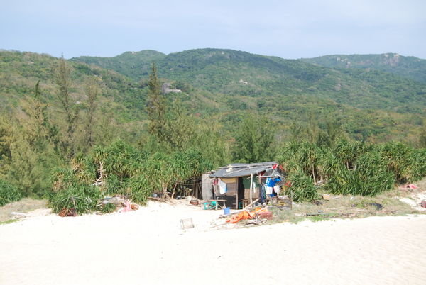 Life on the beach