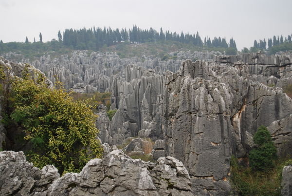 Stone Forest: Shi Lin