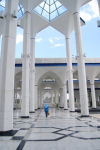 Blue Mosque: Blue Lady