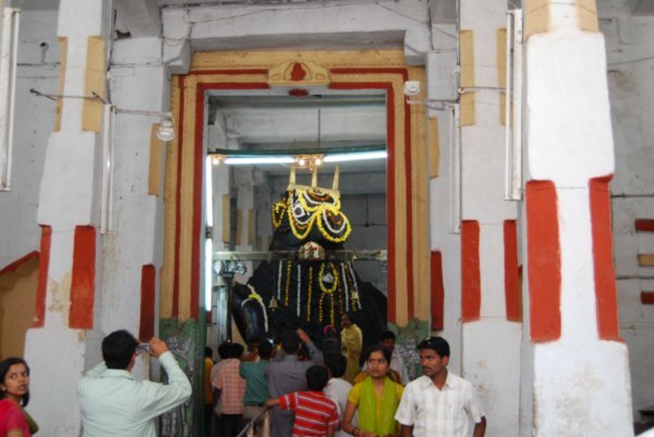 Bull Temple - Bangalore