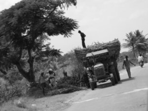 On the road near Mysore