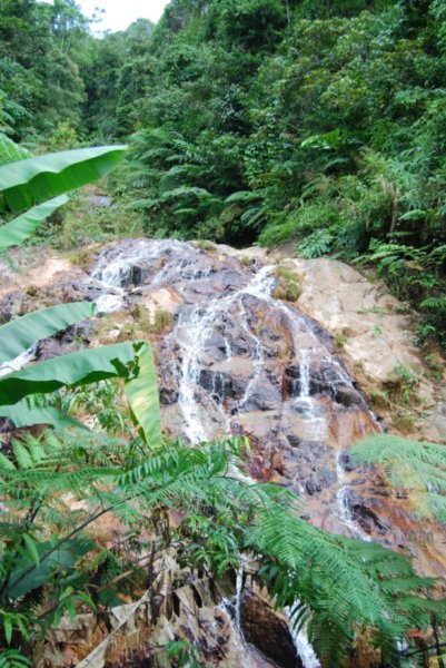 Waterfall on the way to the Rafflesia