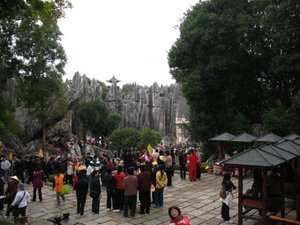 The Stone Forest 