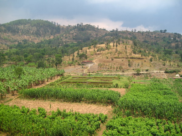 Farm land in Kibuye
