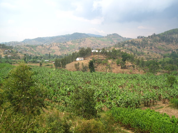 Farm land in Kibuye