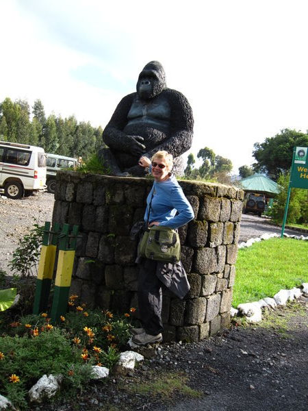 Me and a Gorilla