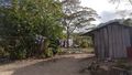 Our host's backyard in Miraflor