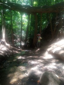 Natural bridge at Monteverde