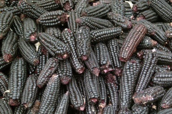 Black Corn, Puno Market