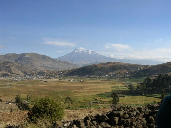 Chimborazo in the Distance