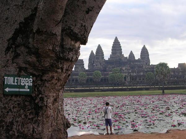 Toilet Sign (and Angkor Wat).