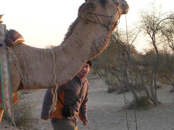 Camelflage