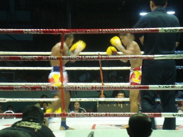 Mutay Thai boxing