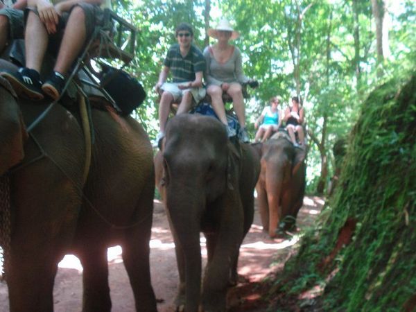 Sean and Lindsey on an elephant