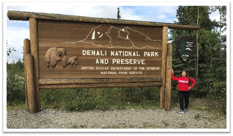 Denali National Park 