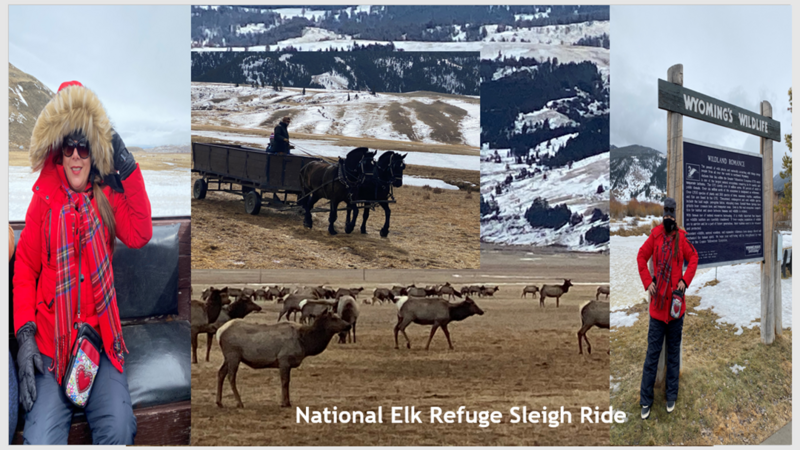 Elk Refuge Sleigh Ride