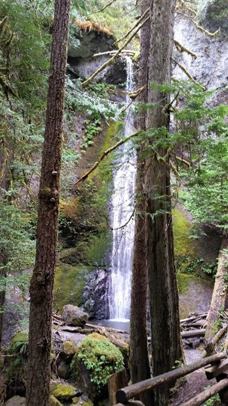 Waterfall - Olympic National Park