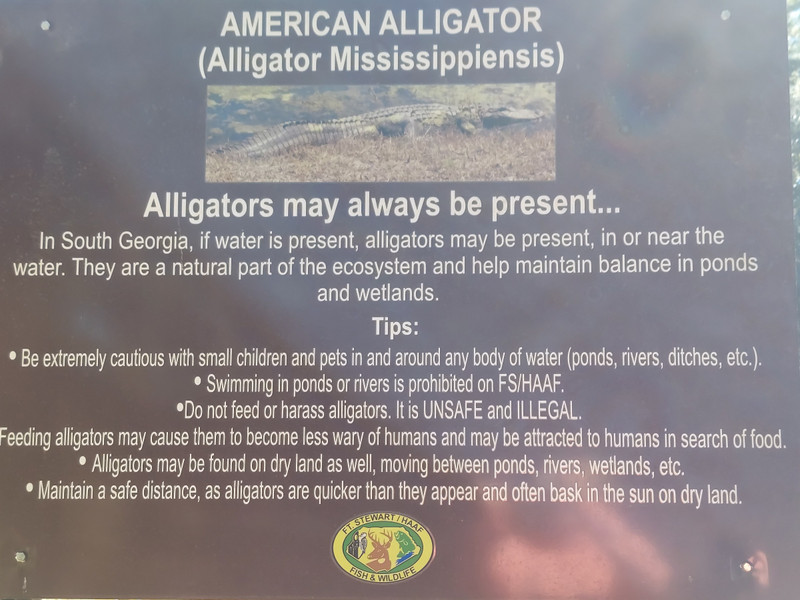 Alligator signage at camp