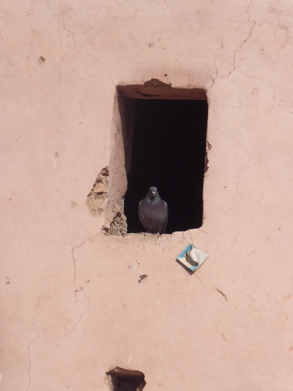 pigeon hole