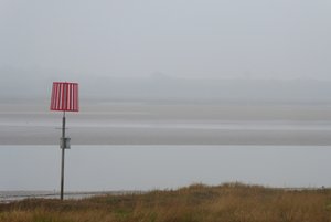 Misty estuary