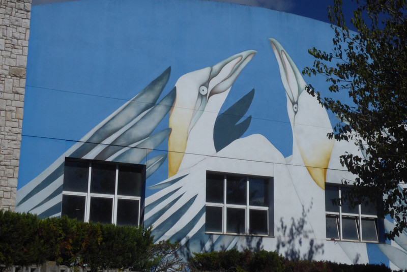 Mural of gannets on a school wall.