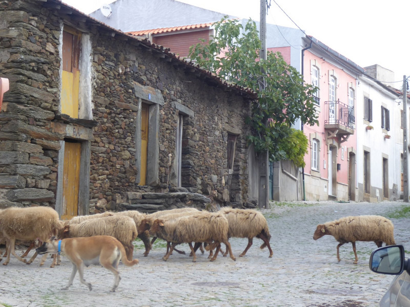 busy Portuguese village 