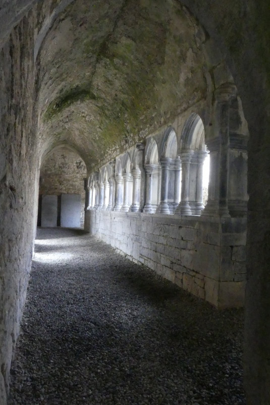 Cloisters at the old abbey Askeaton.