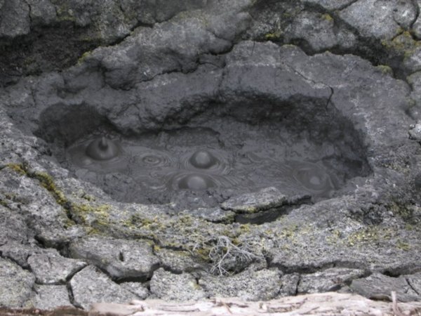 Rotorua and the bubbling mud - Rotorua Ã©s a fortyogo sartenger