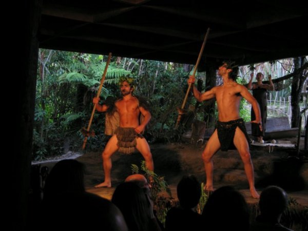Maori dance show - Maori tancest