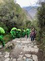 Green teams porters overtaking