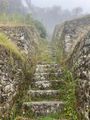 Inca steps