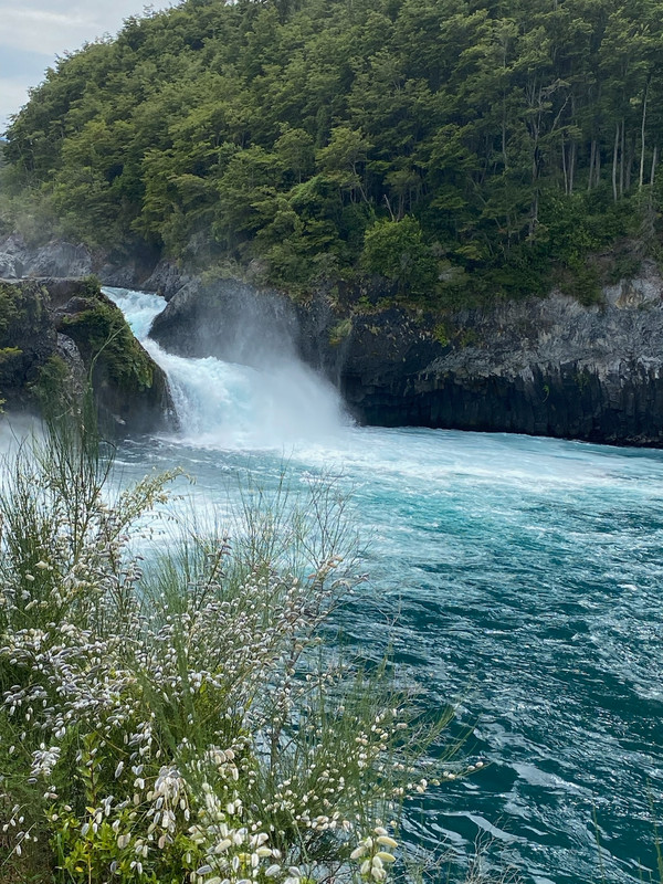 Petrohue falls