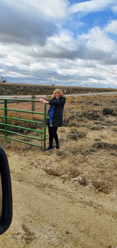 Kate and the Cattle Gates