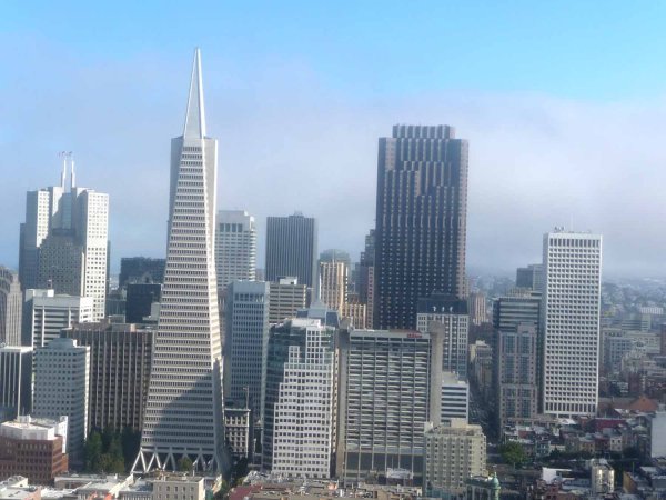 San Francisco from Coits Tower