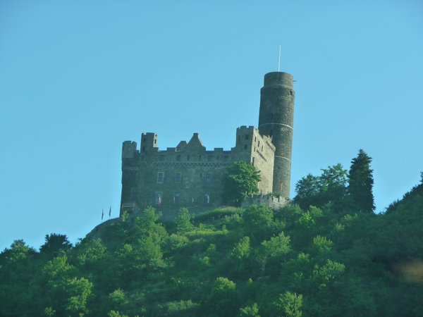 Rhinefels Castle