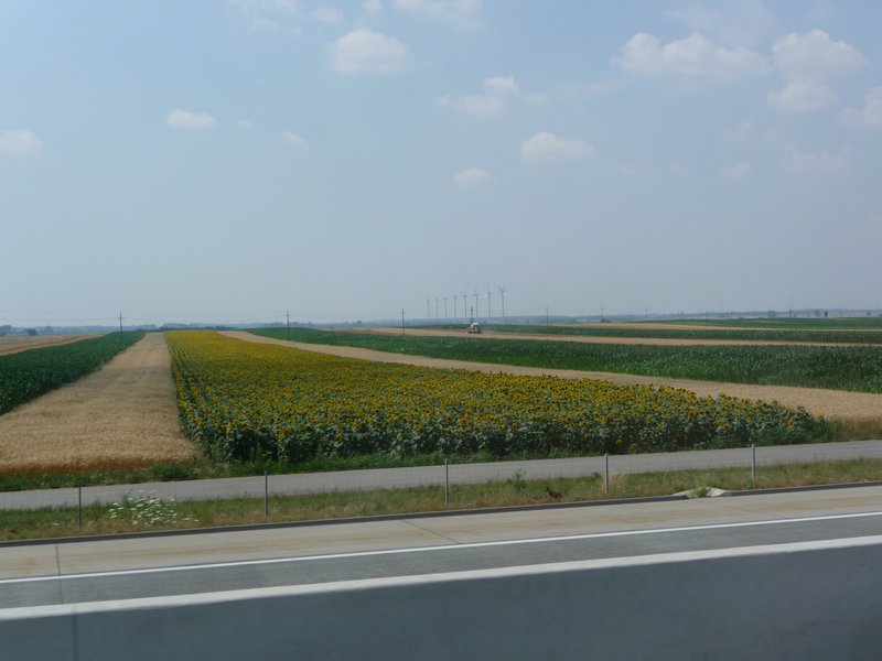 Farming & wind turbines