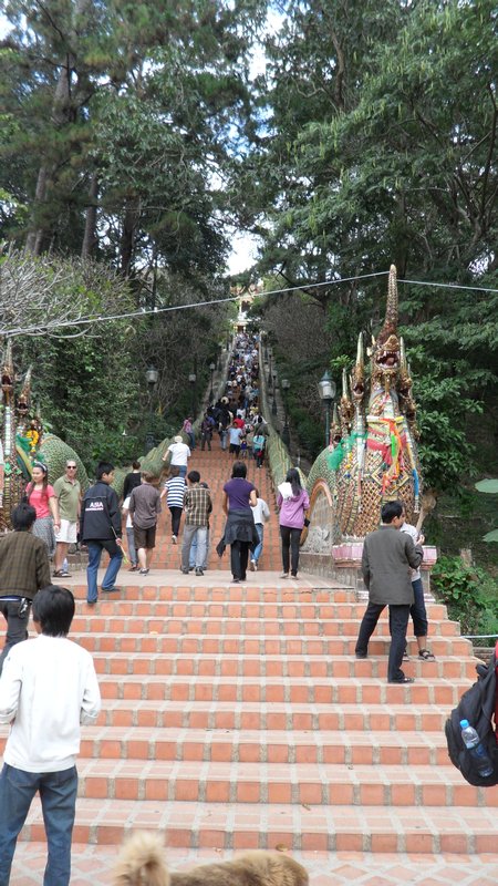 Steps to Doi Suthep temple