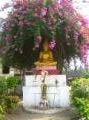 Luang Prabang - Buddha