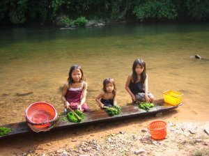 Nam Goy - Lanten kids occupied with river weed