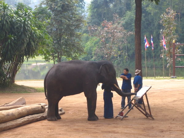 Thai elephant conservation center - Elephant artist!