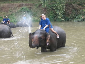 Elephant conservation center - Elephant bath