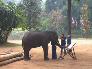 Thai elephant conservation center - Elephant artist!