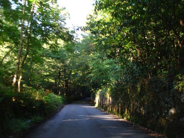 Another tiny road in Dartmoor