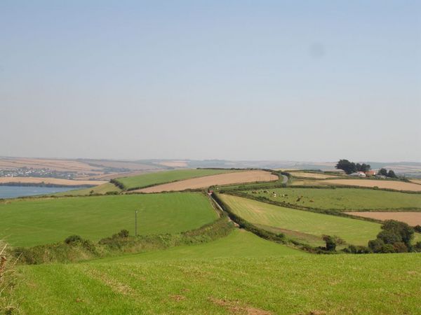 Farming landscape near Salcombe