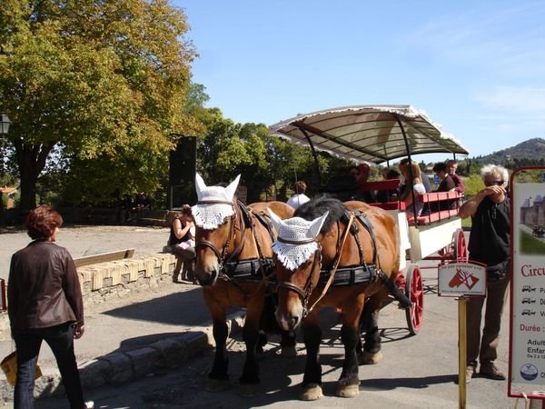 Horses giving some tourists a ride around the town