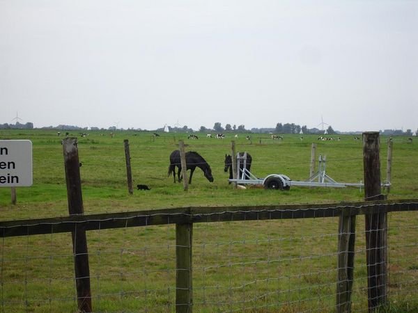 Farmland near Gaastmeer