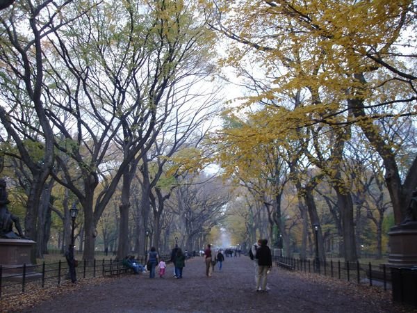 Central Park - The Mall