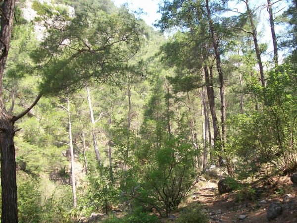 kloof richting Olympos