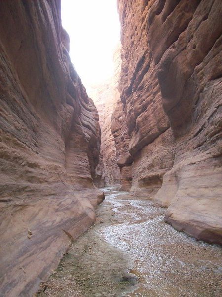 Wadi Al Hassa