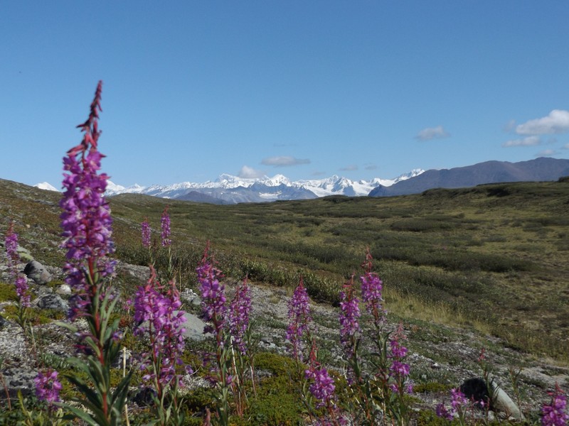 Alaska mountain Range